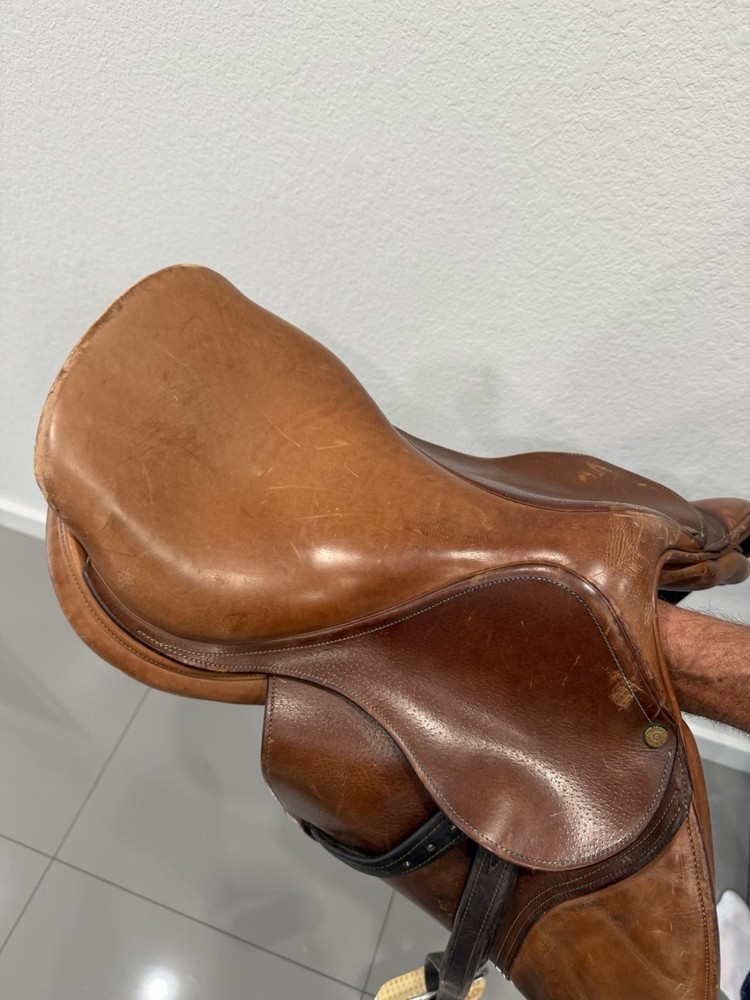 Delgrange PJ Pro Saddle, 15.5