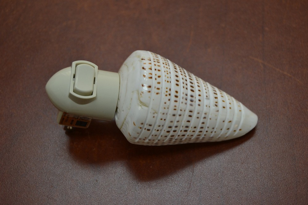 STRIPE LEOPARD CONE SEA SHELL NIGHT LIGHT BATHROOM KITCHEN #7251