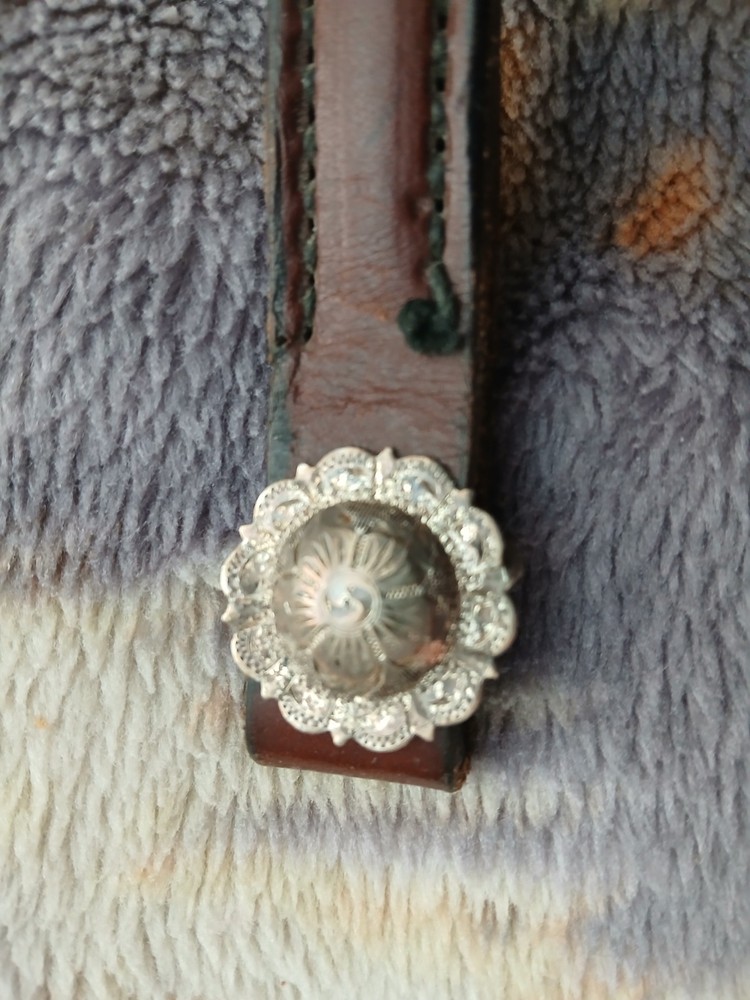Walnut colored browband with 2 one inch silver overlaid loopback conchos