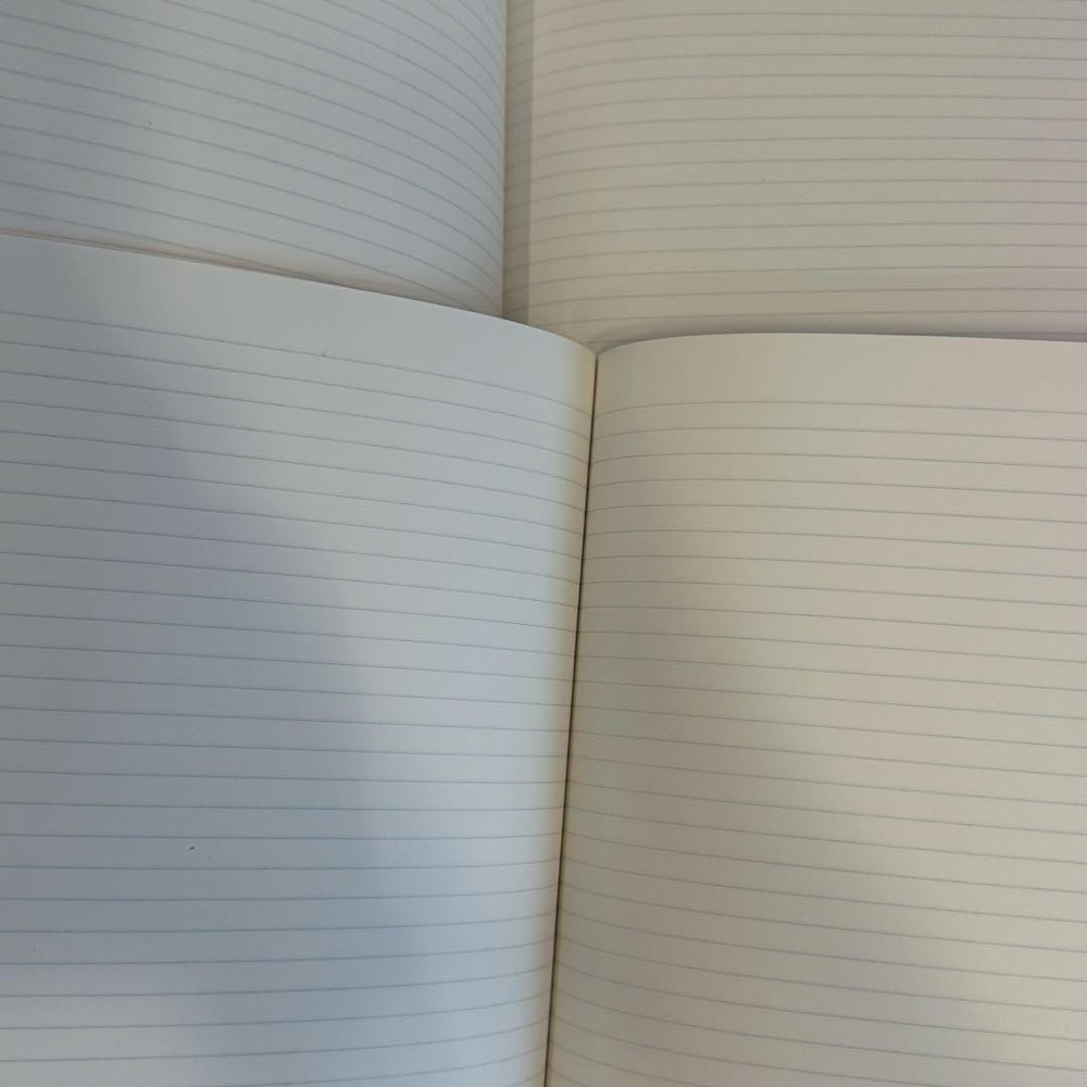 Hobonichi Shigesato Itoi Goodbye Penguin Note