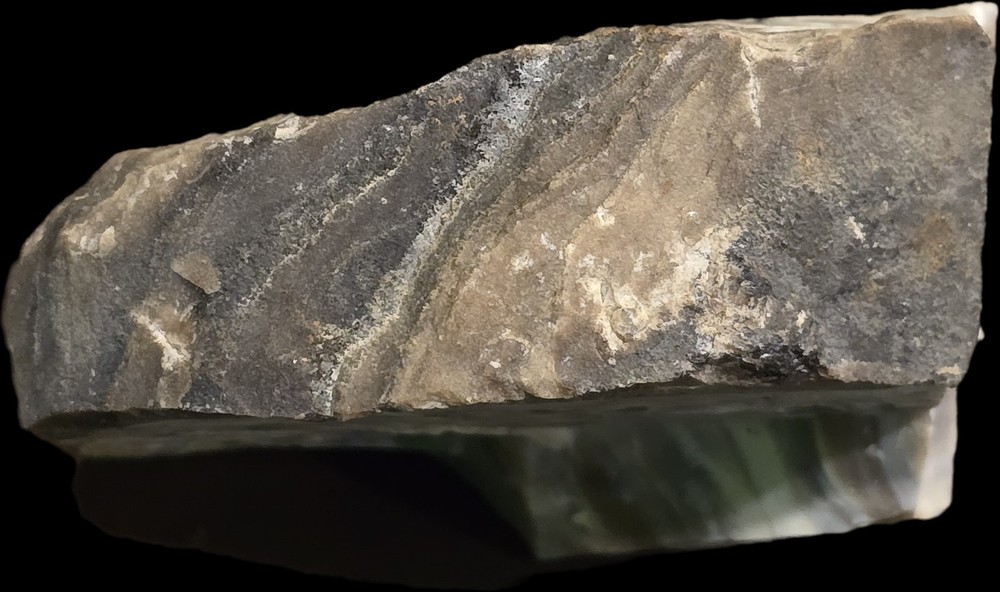 Near Fully Permineralized Petrified Wood
