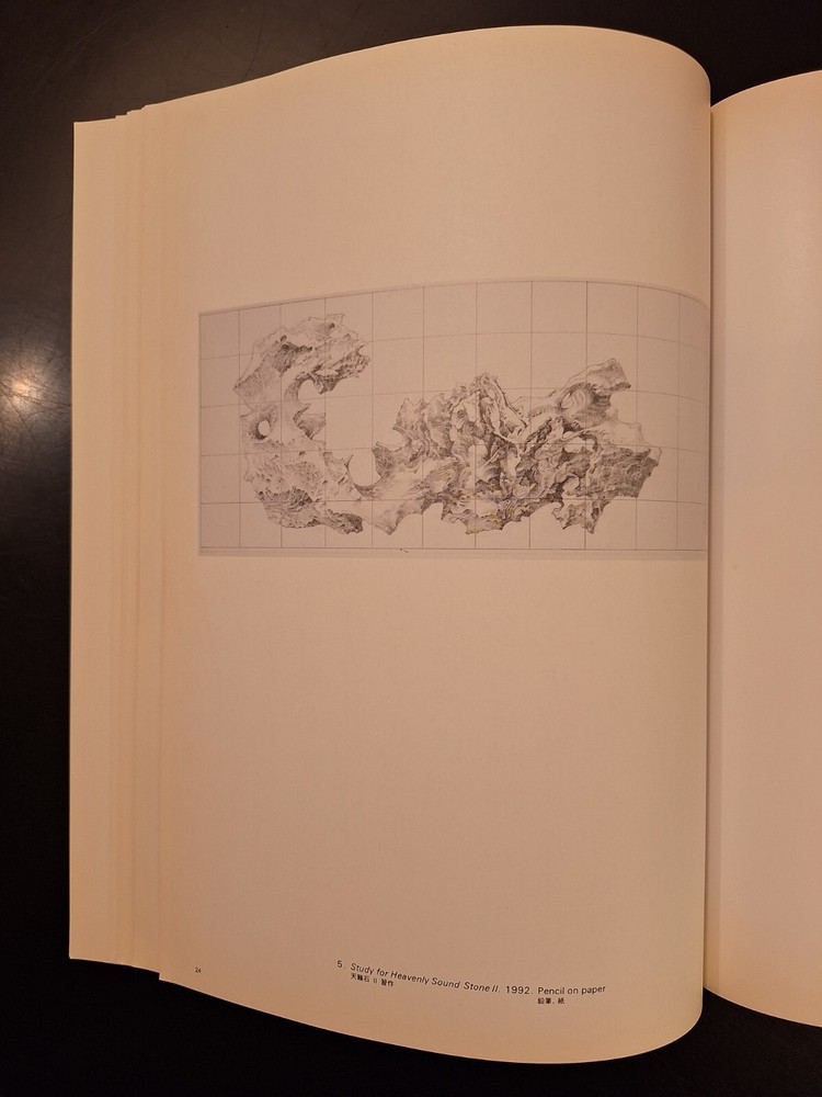 Liu Dan Alternative Visions 1993