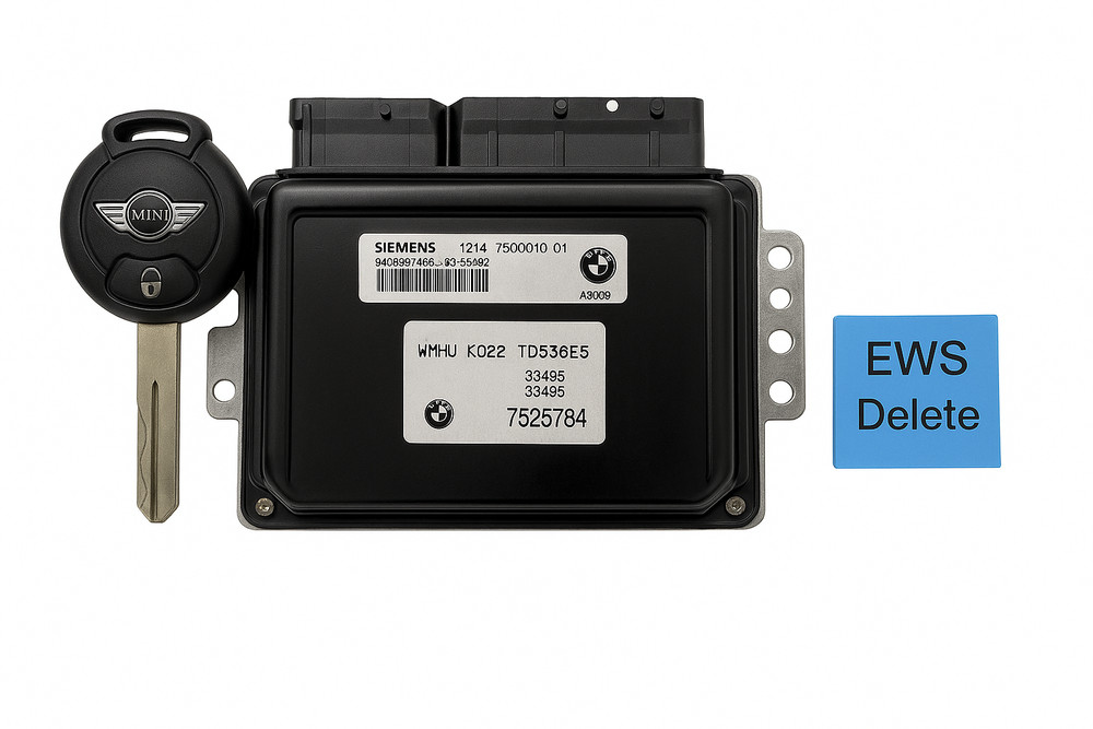 R53 Mini Cooper S EWS Delete Service - Fully Plug and Play with Delete Module