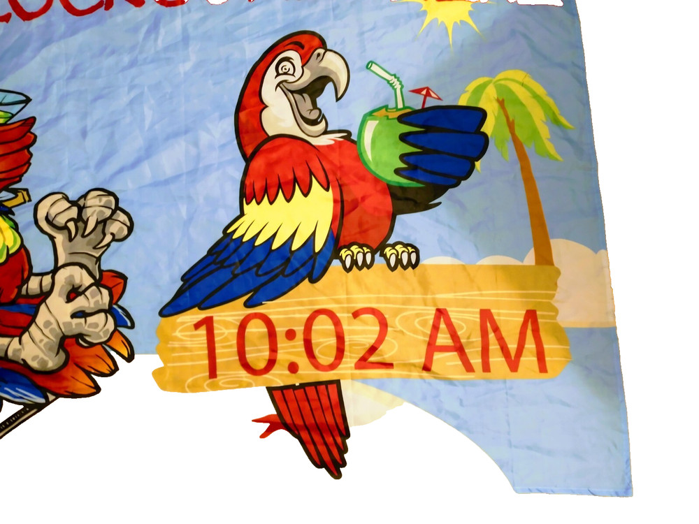 flag 3x5 Parrott Party beach