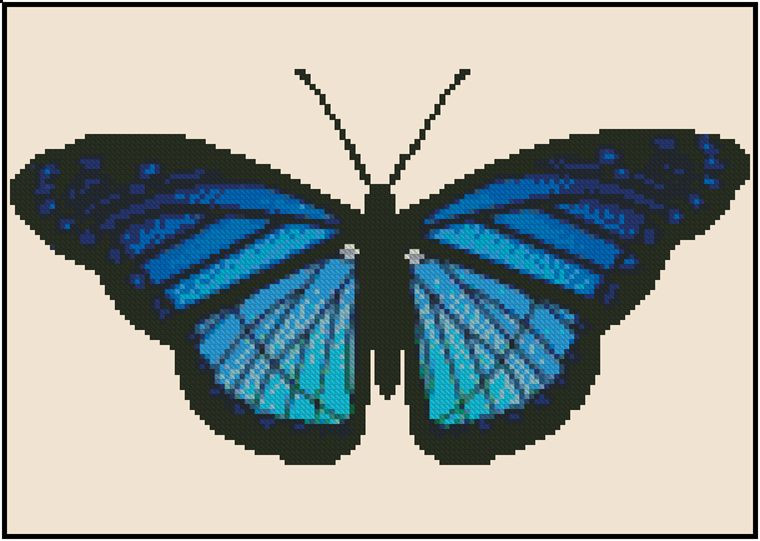 Butterfly Blue and Black Counted Cross Stitch Chart No.29-100