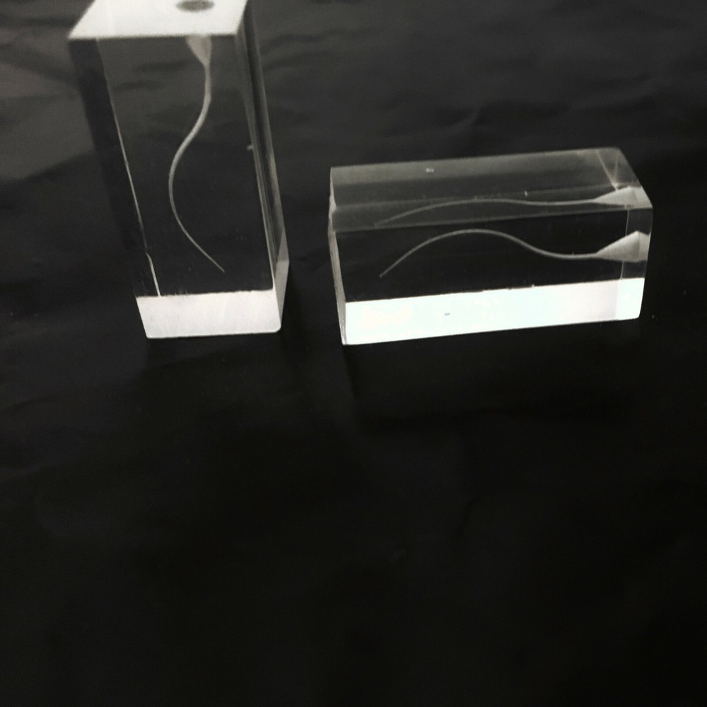 Dental Transparent S Type Endo Training Blocks Root Canal Files Practice Model