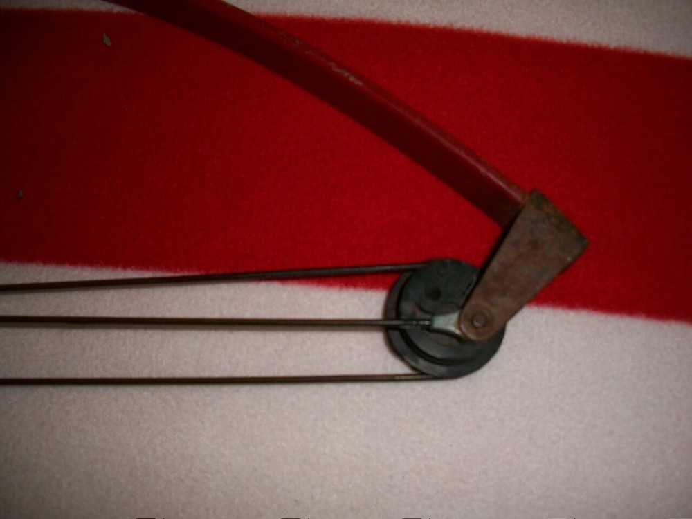 Bear Panda Bear Youth Compound Bow