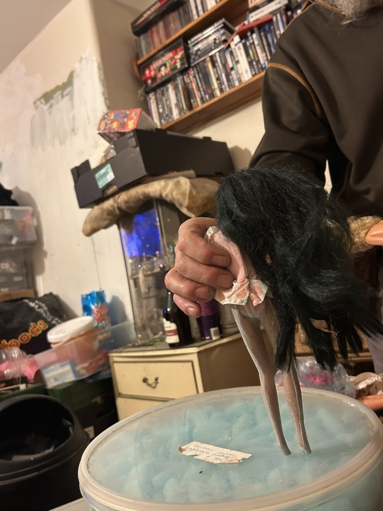 Disney Doll In Barbie Clothes