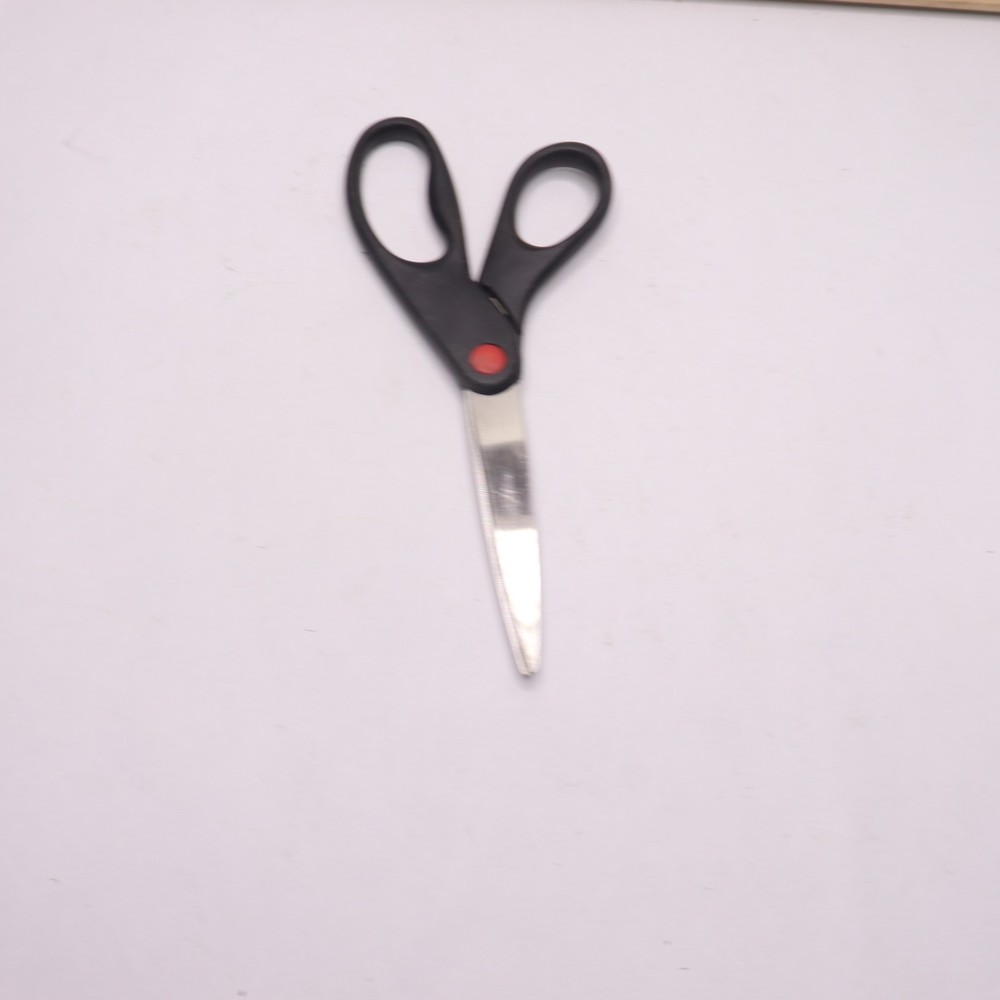 Scissor Stainless Steel Black 8"