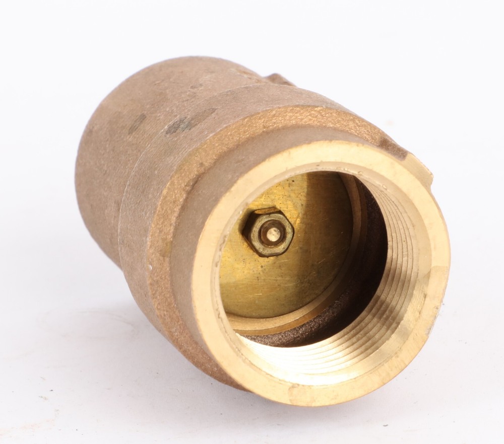 Watts ECV 100 1" NPT Spring Check Valve