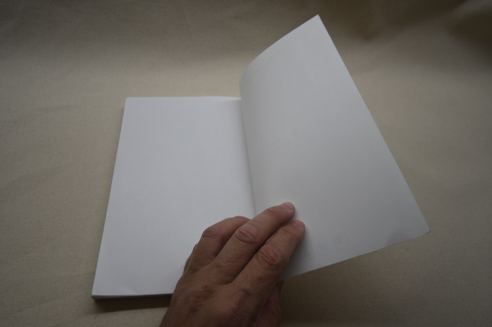 Mandrake Linux 9.0 Installation and User Guide