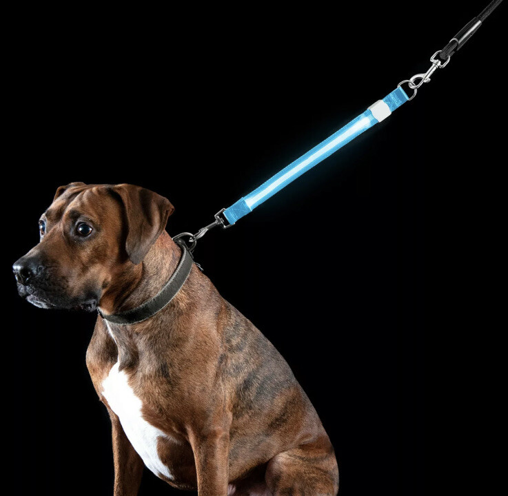 FurHaven XL Glowing LED Light Dog Collar