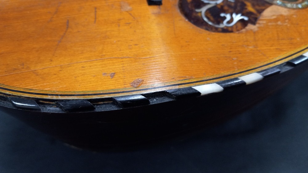 Marshall Field & Co Luxton Chicago Mandolin (READ DESCRIPTION)
