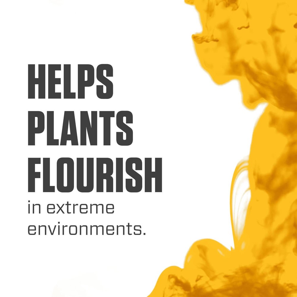 Botanicare Silica Blast - Liquid Supplement, For Use in Containers or Hydroponic
