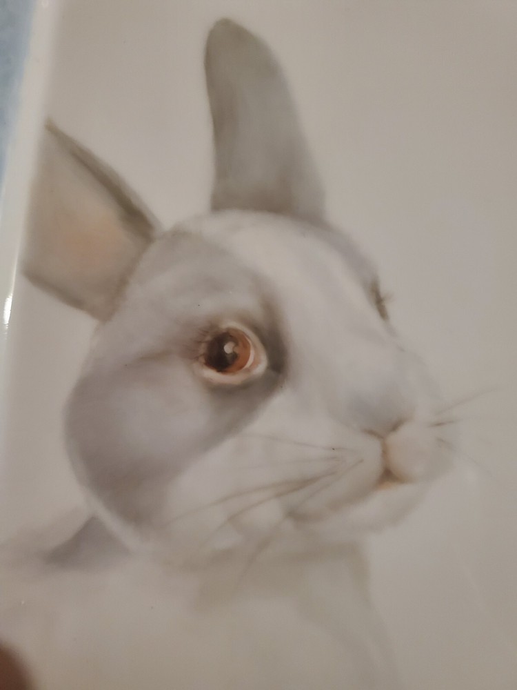 Bunny Rabbit Platter/Plate Easter Handpainted. Signed