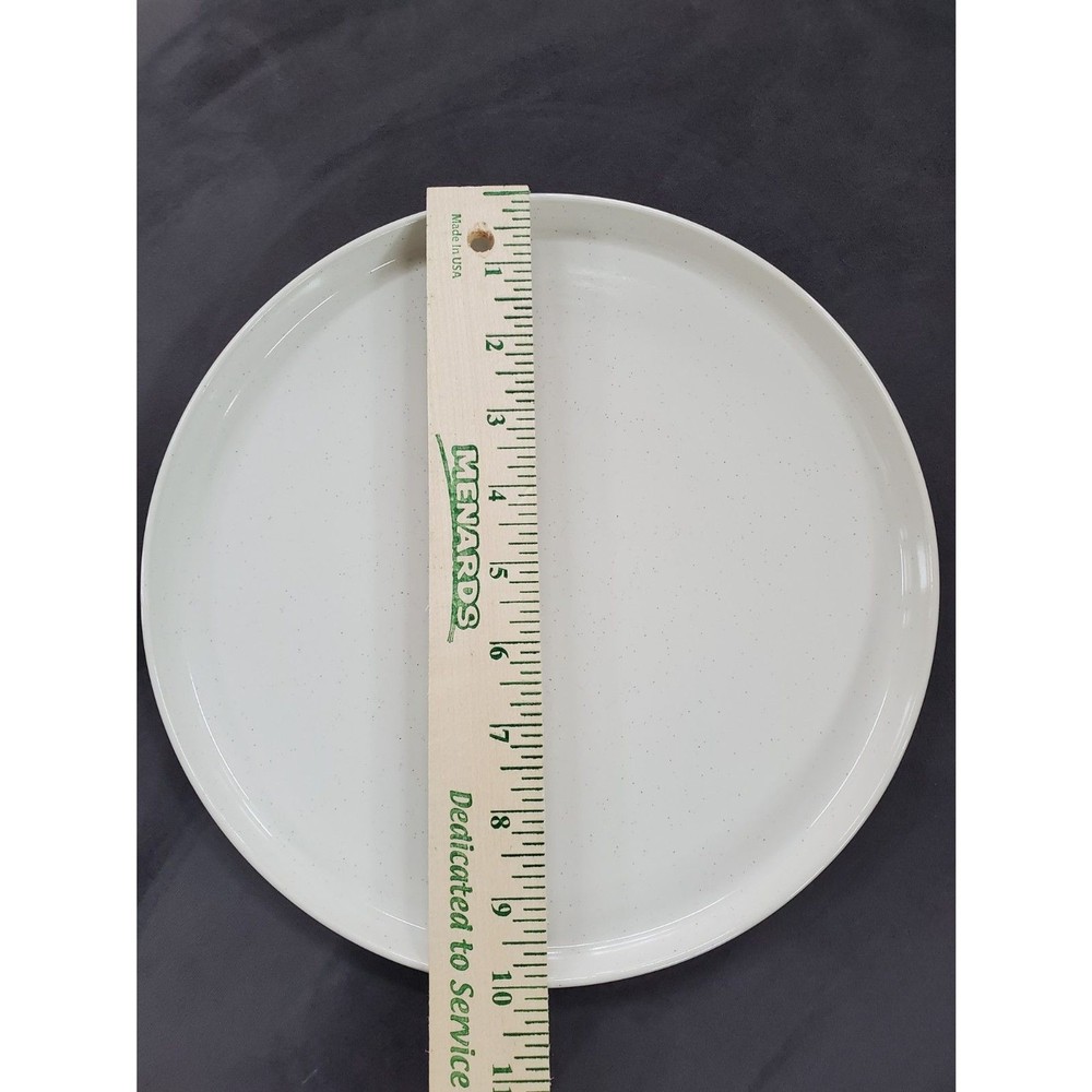Famiware Nebula DINNER PLATE 10 INCH STONEWARE