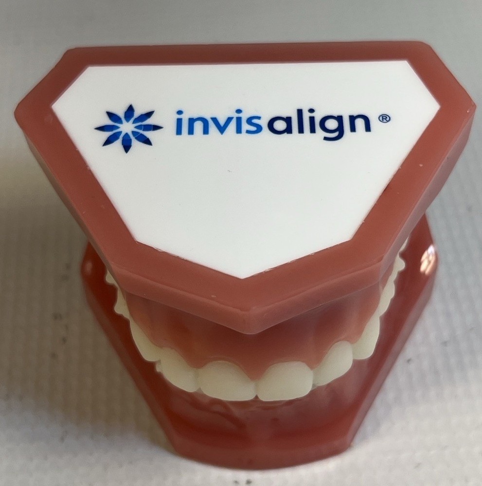 Invisalign Dental Demo Model – Teeth Display