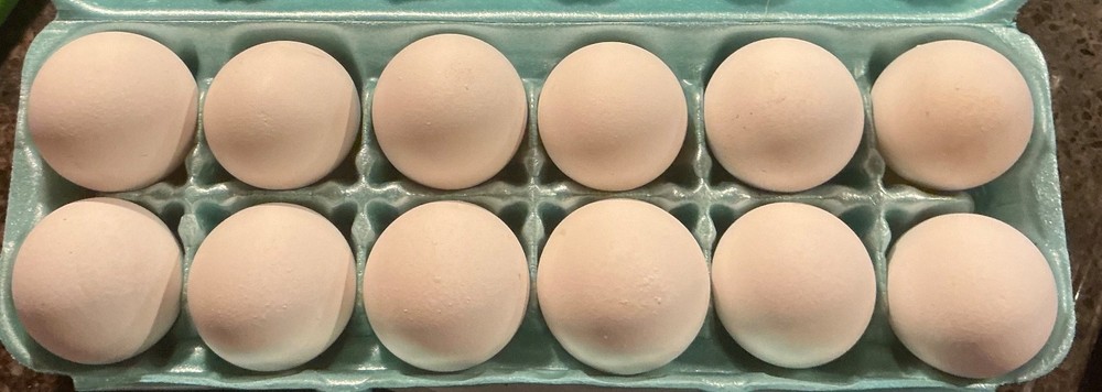 12 White Leghorn Hatching Eggs