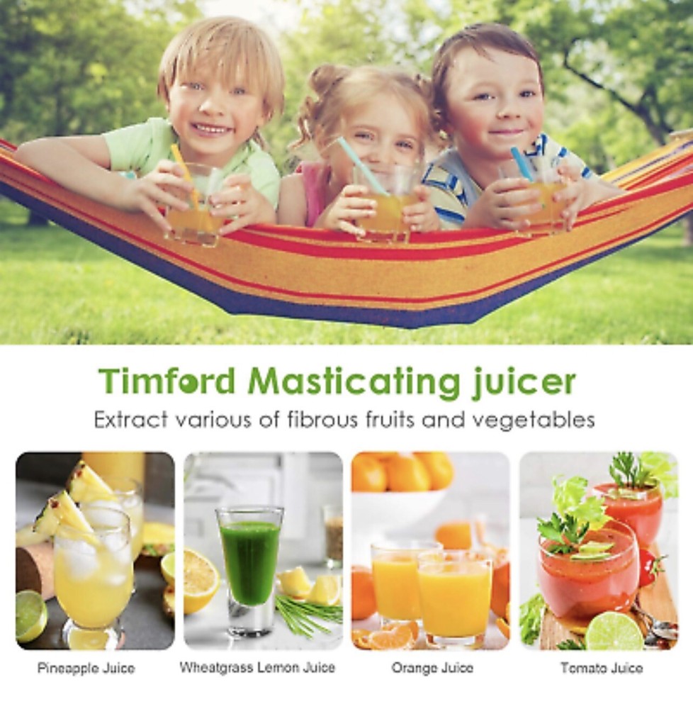 Juicer Machine Masticating Juicing Veggie Fruit Extractor Cold Press 2Speed Mode