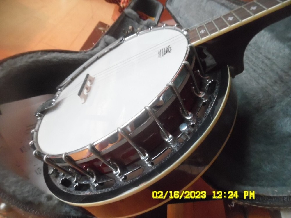 5 string alvarez banjo and hardshell case