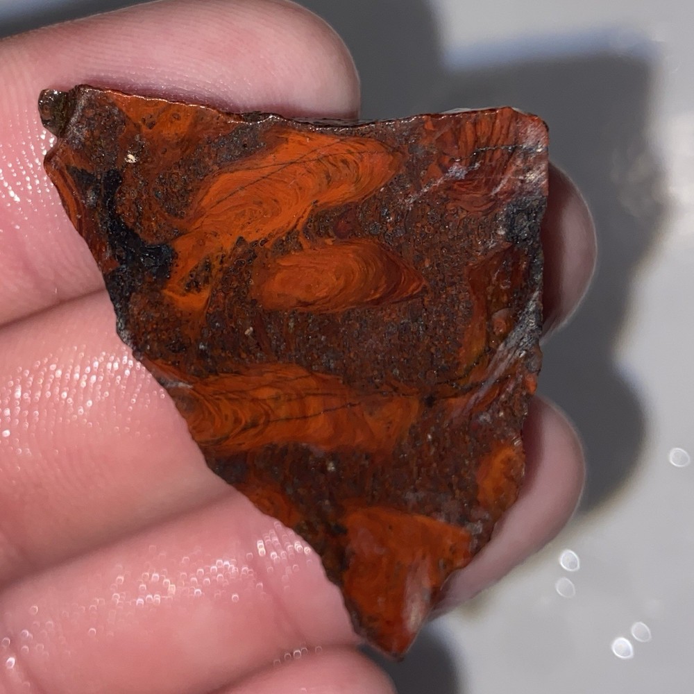 Colorful 9 Pc Agate Jasper End Cuts Lot 7.94 Oz