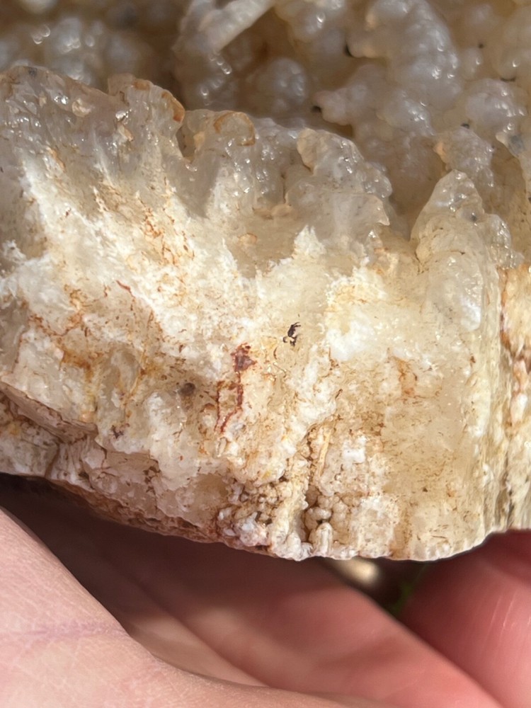 Succor Creek Botryoidal Agate Specimen 658gm (Y2)