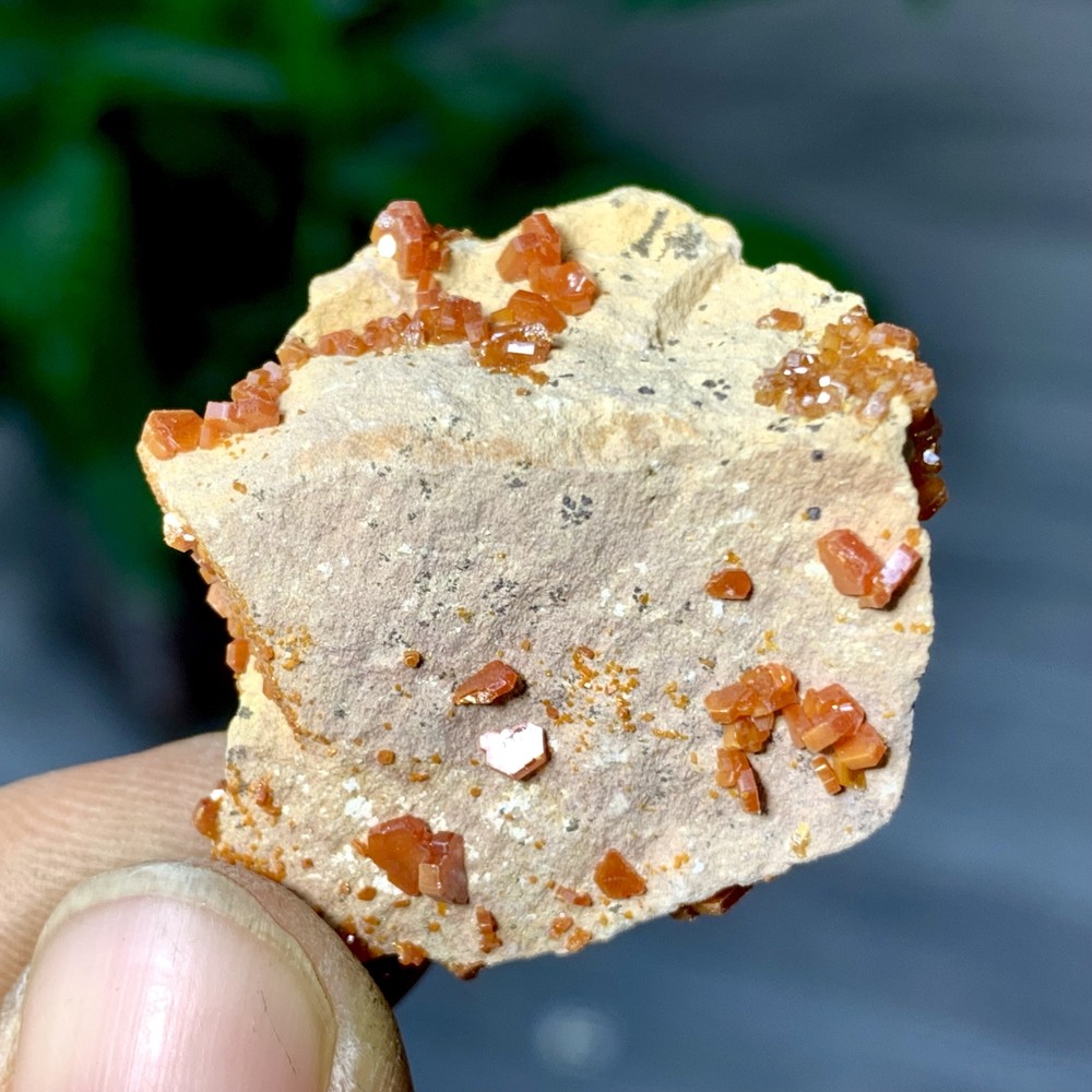12GNatural Beautiful Vanadinite Atone Cluster Quartz Mineral SamplefromMorocco