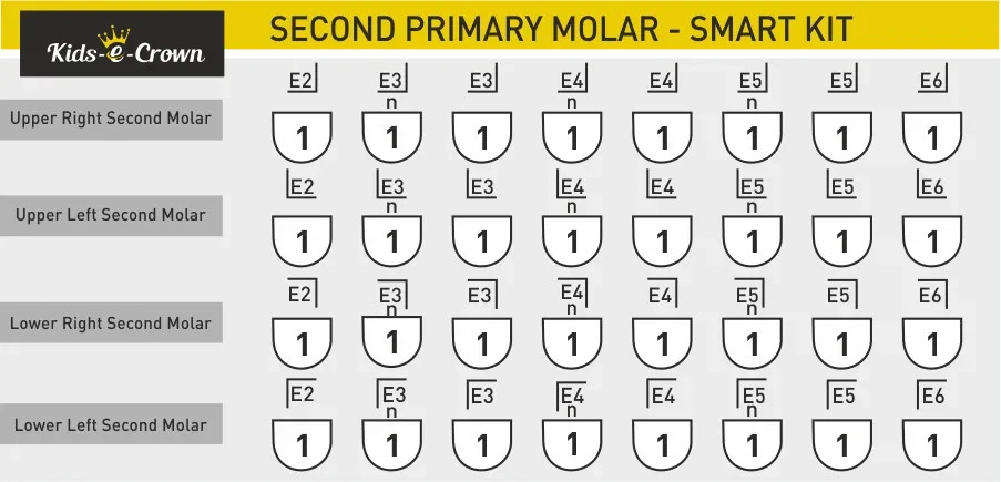Kids-e-Crown Zirconia Crowns Primary Second Molar Kits