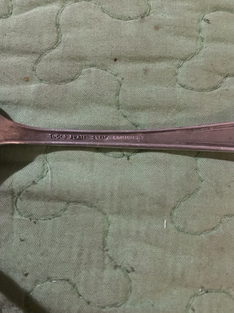 Tudor Silver Plate Fork And Spoon Bridal Wreath Pattern 🥄🍴