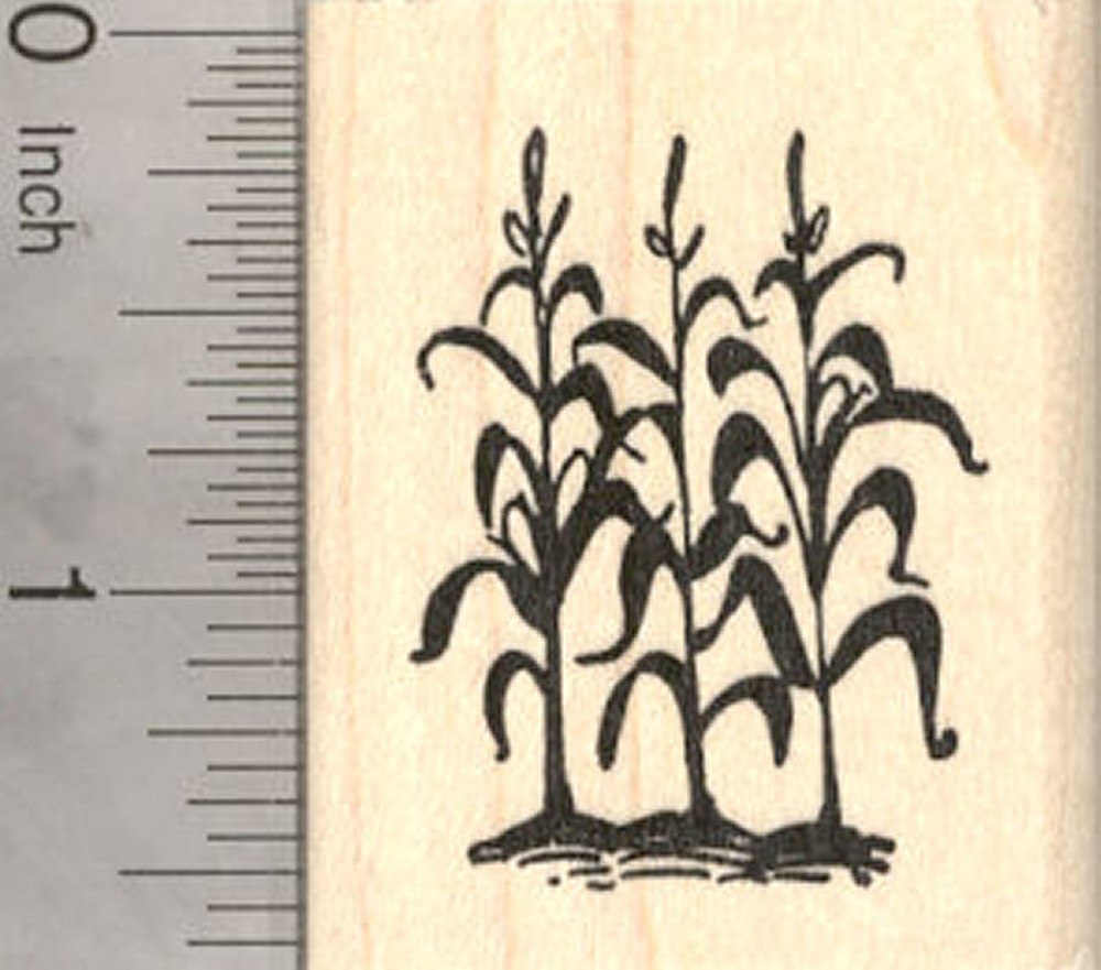 Corn Stalks in Garden Rubber Stamp, in Silhouette E21812 WM