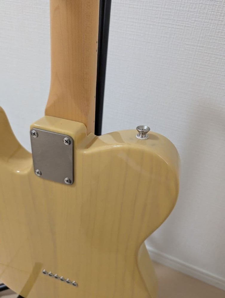 FUJIGEN Neo Classic NTE10MAH VNT Telecaster