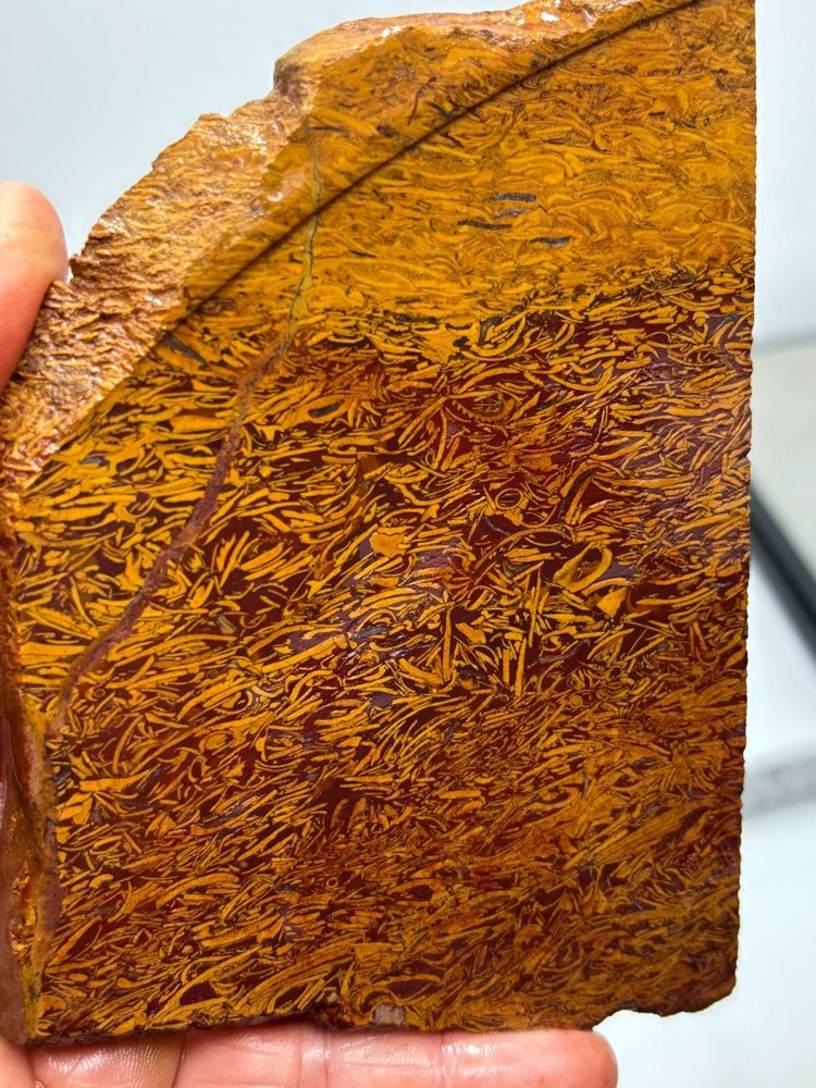 Script Stone Jasper Slab Cabbing Lapidary Collecting Combo Ship Avail