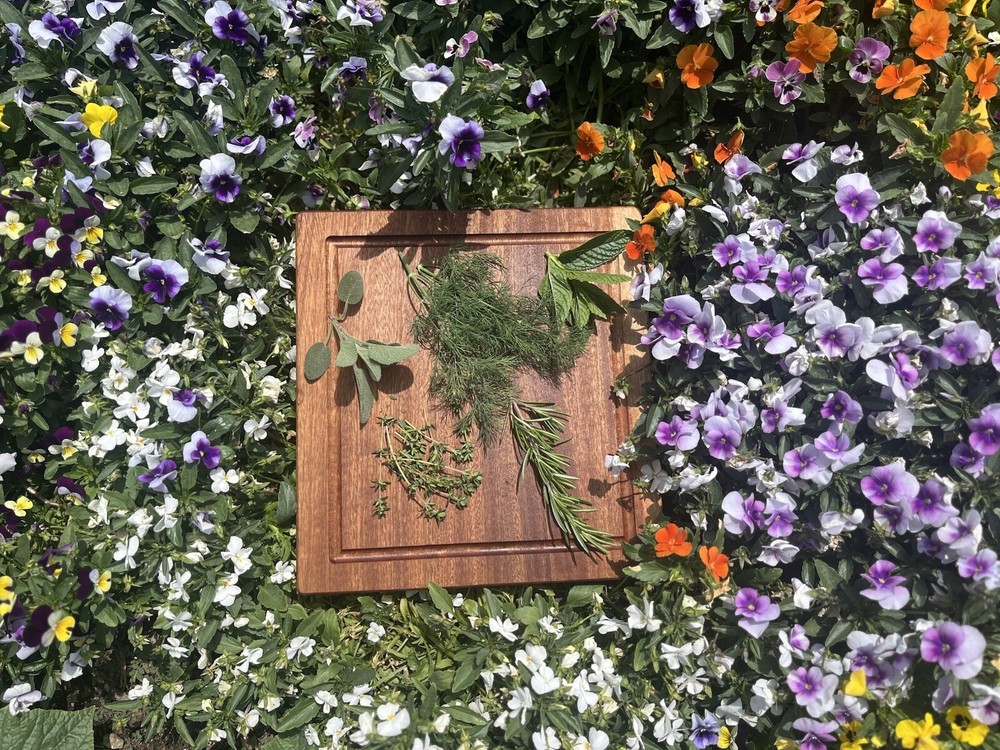 Sapele Wood Cutting Board