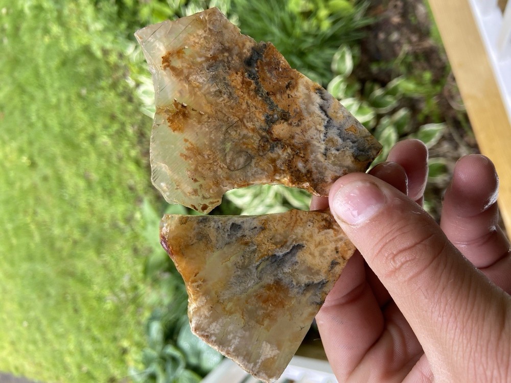 Graveyard Plume Agate 2 Pieces 70 Grams