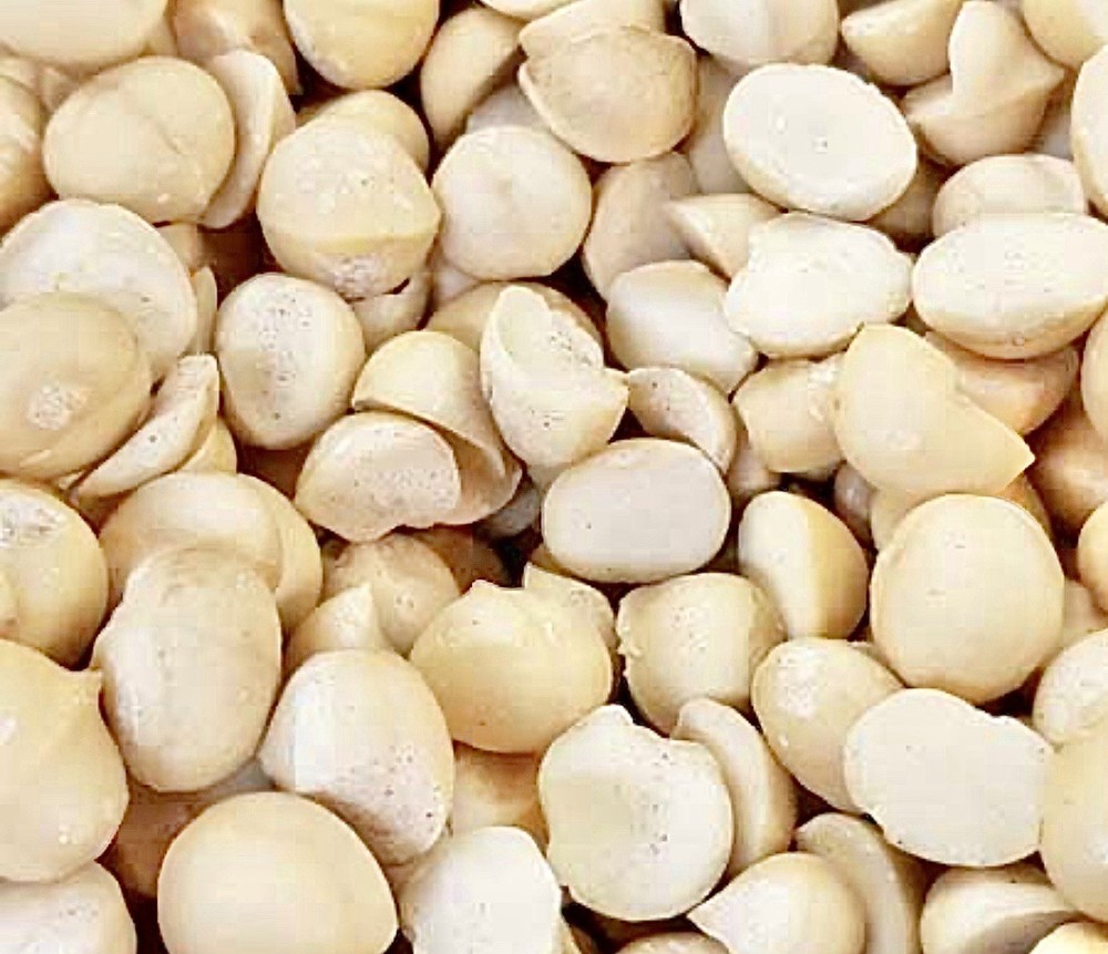 Raw Macadamia Nuts Unsalted Bulk Wholesale 25 Pounds