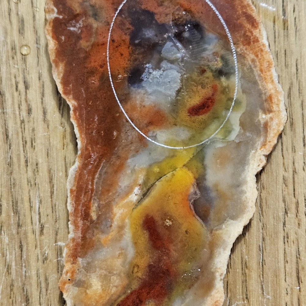 Rainbow Ridge Ledge Jasper Agate California 64 Grams