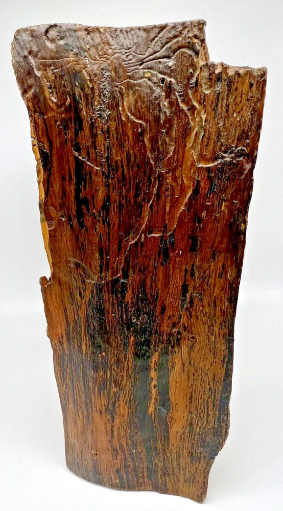 Old Horseshoe Embedded in a Tree 11" X 10" Primitive