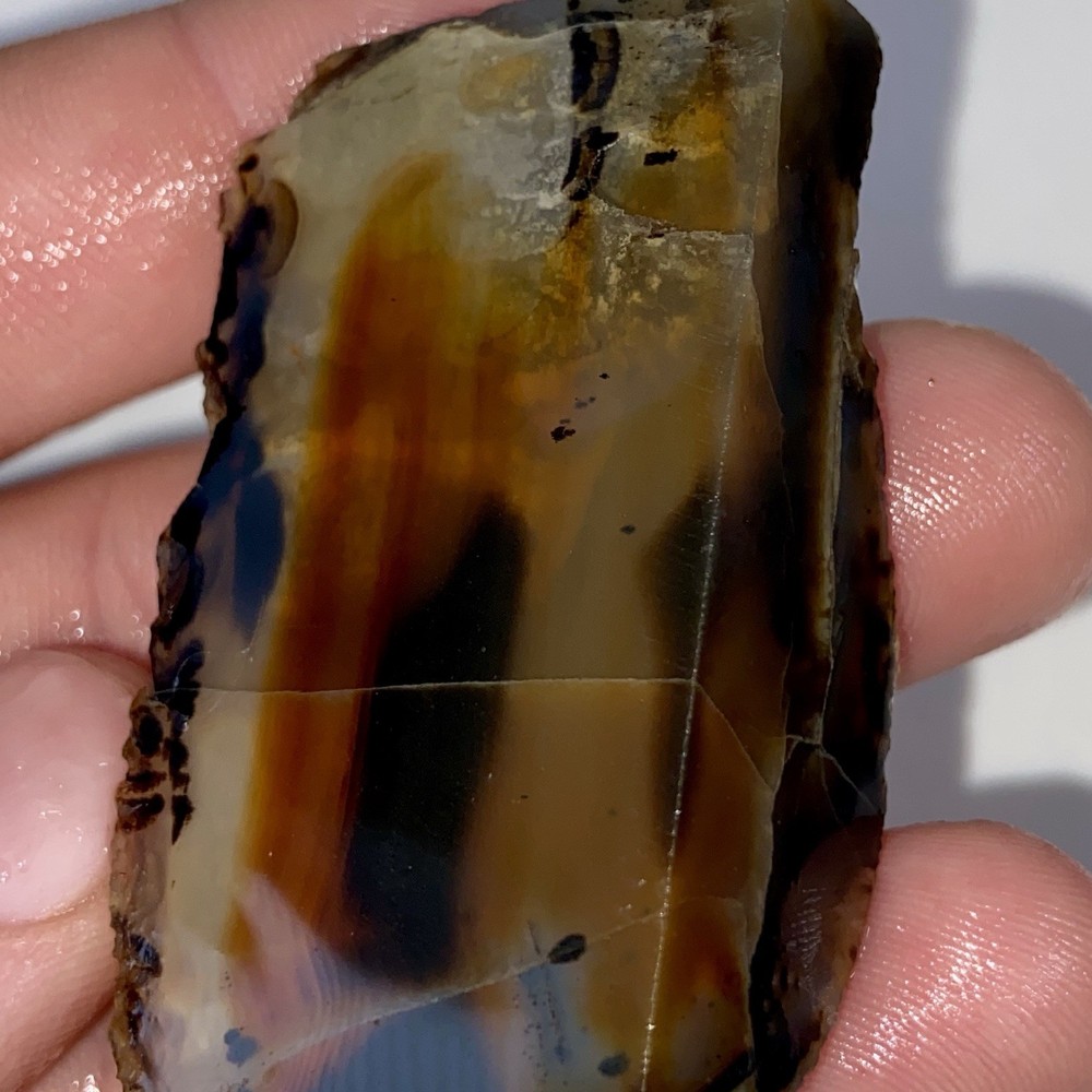 Montana Agate Unique Optical Depth 1.49 Oz