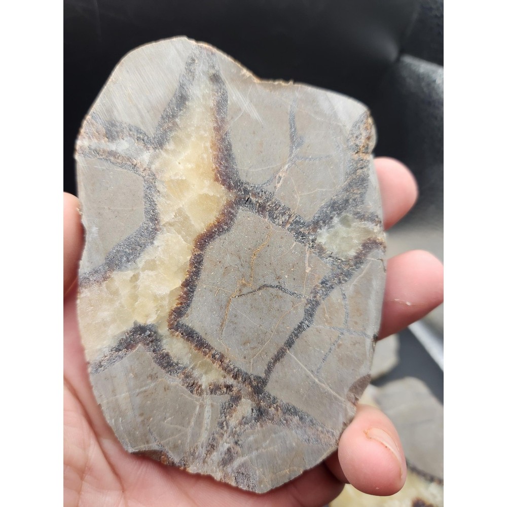 Septarian Stone (aka Lightening Stone) Unpolished