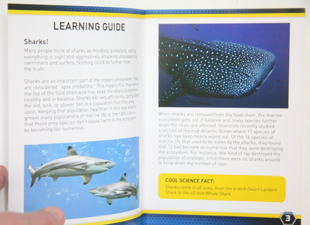 National Geographic Shark Tooth Dig Kit Instructions & Learning Guide BB437