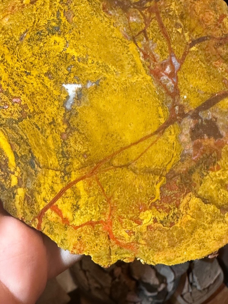 Beautiful Utah Yellowcat **hxtled agate.