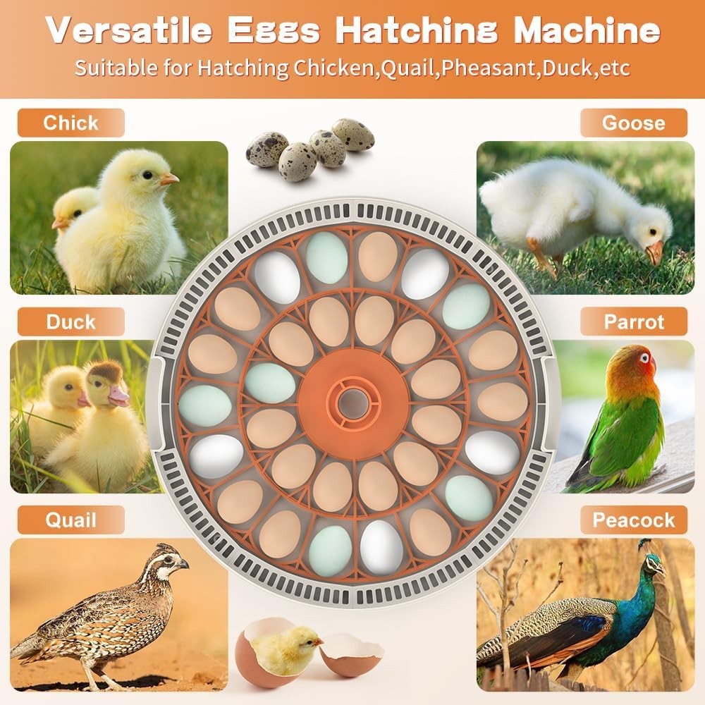 Smart Lite 30-Egg Incubator for Experienced Hands-On Hatchers, Auto Egg Turn,...