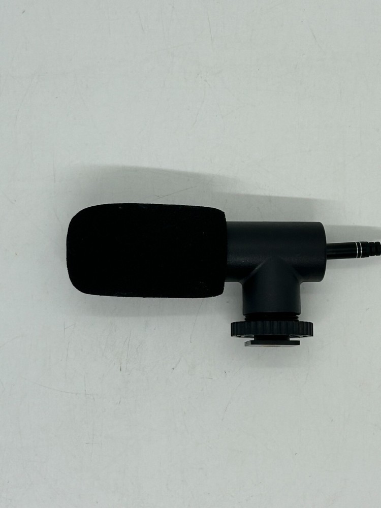 Camcorder Microphone