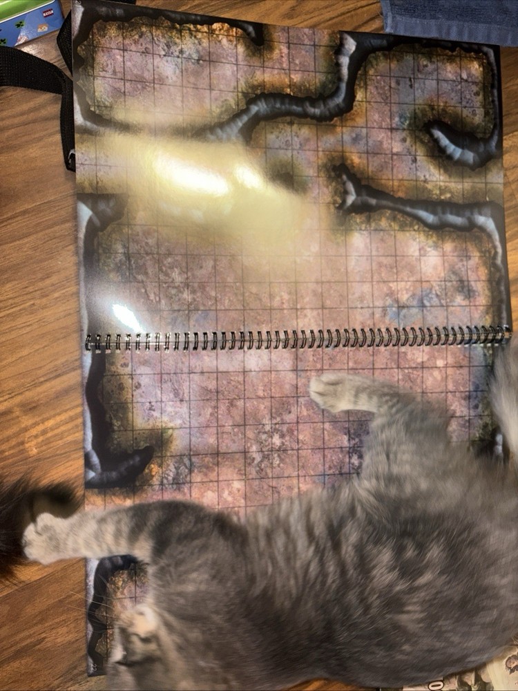D&D Everything You Need To Get Started Playing