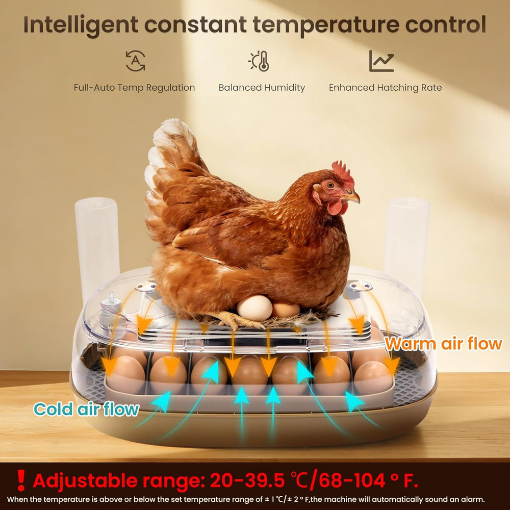 24-Egg Incubator: Auto Egg Turner, Precise Temp Control, Auto Water Refill, Cand