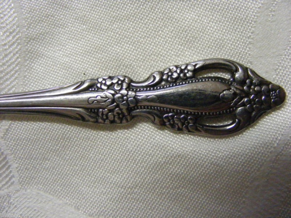 Vintage Oneida Raphael Stainless Long Tea Spoon