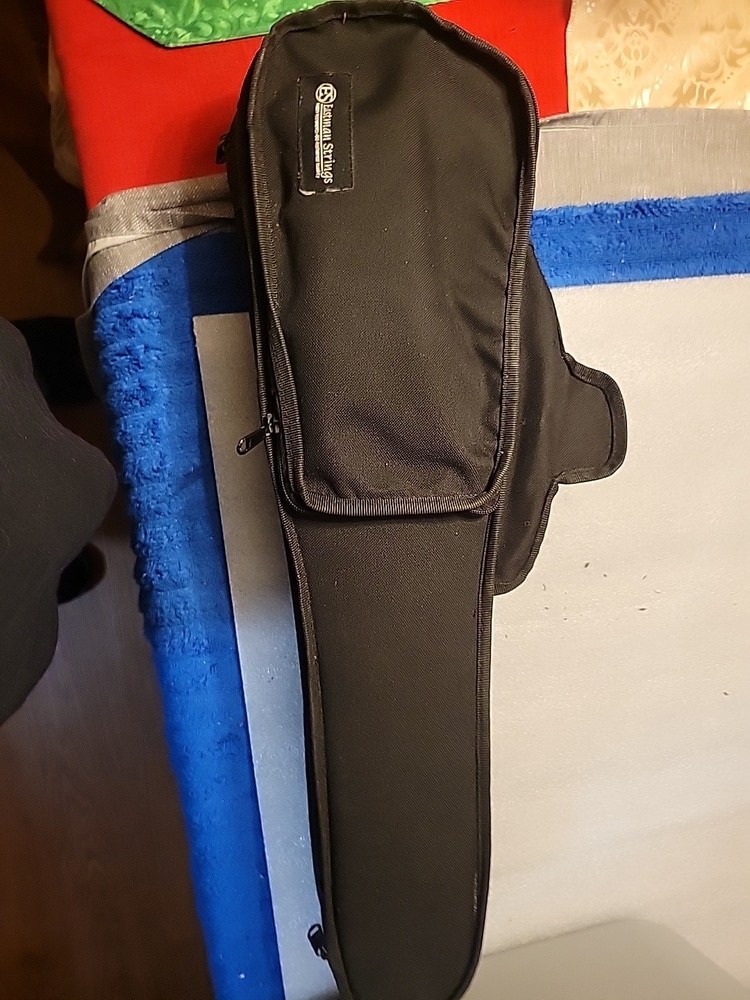 1/4 Eastman Strings Violin Case