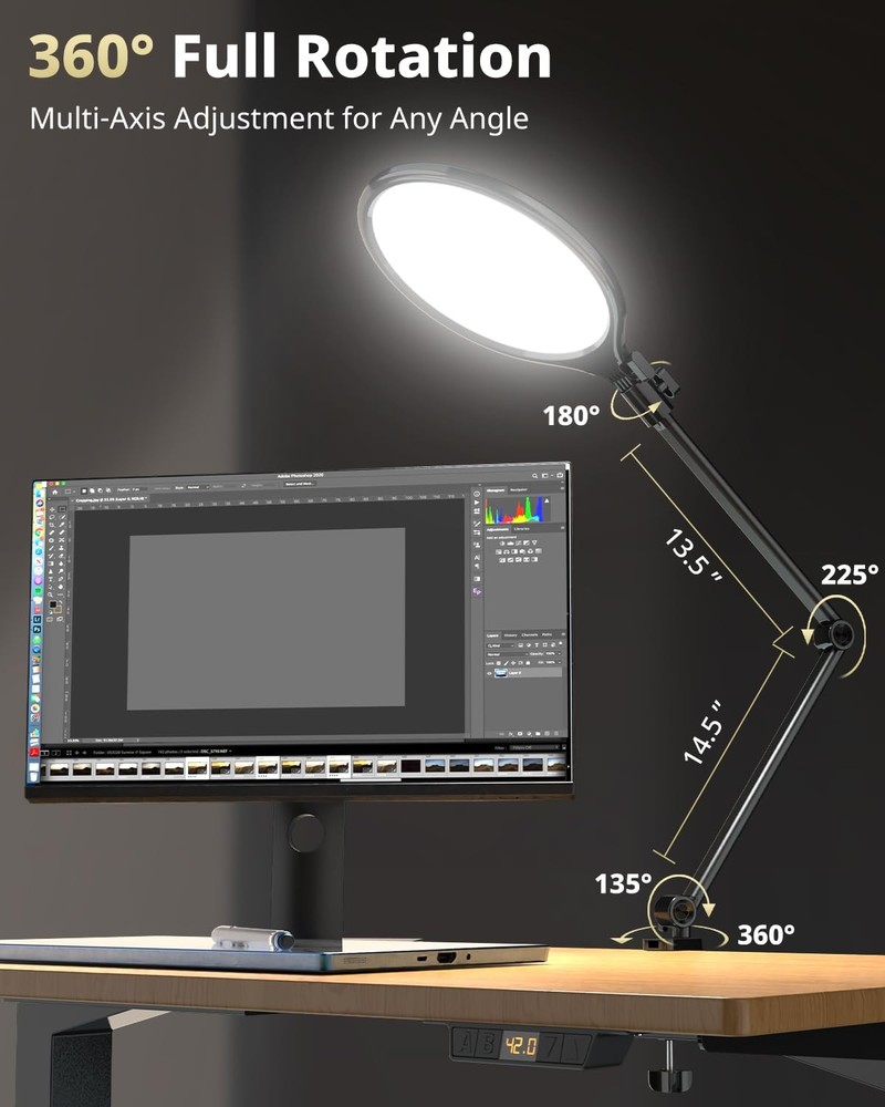 10" Key Light for Streaming, Desk Ring Light with Adjustable Arm, Zoom Lighti...