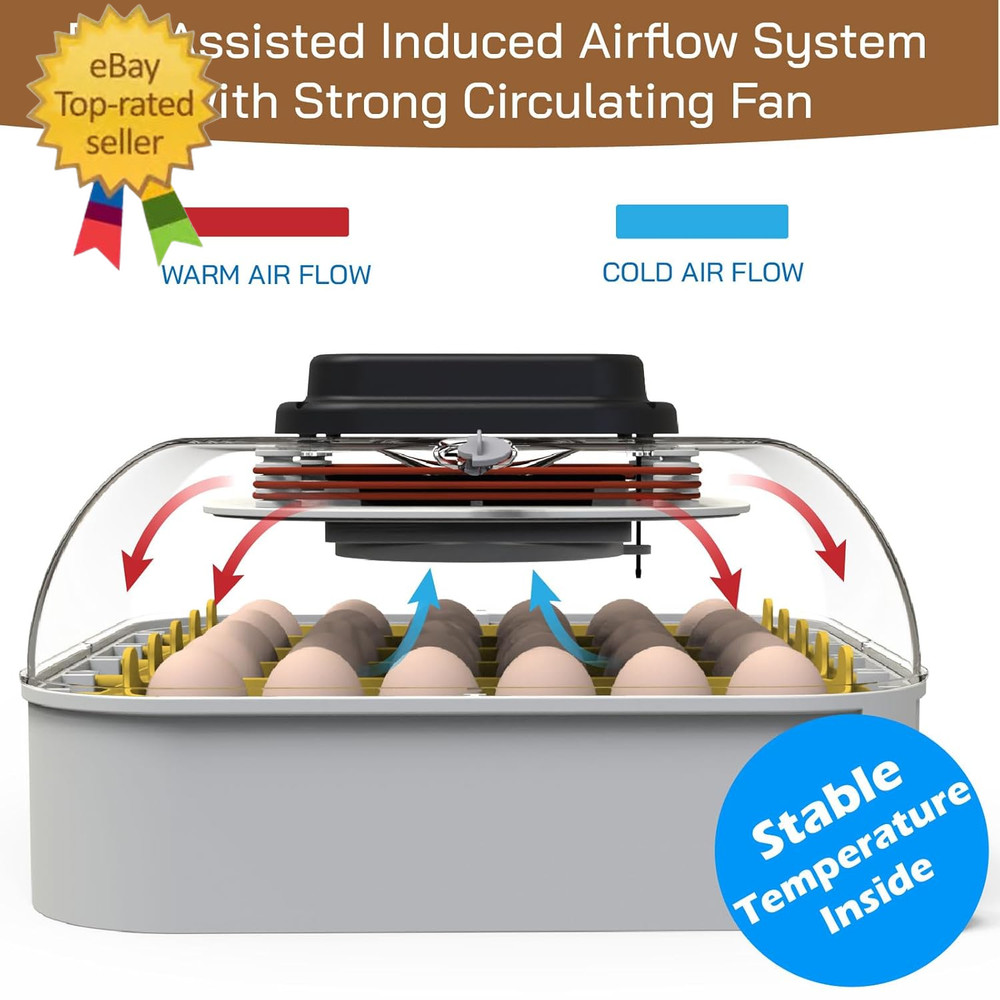 30 Egg Incubator with Humidity Display, Egg Candler, Automatic Egg Turner