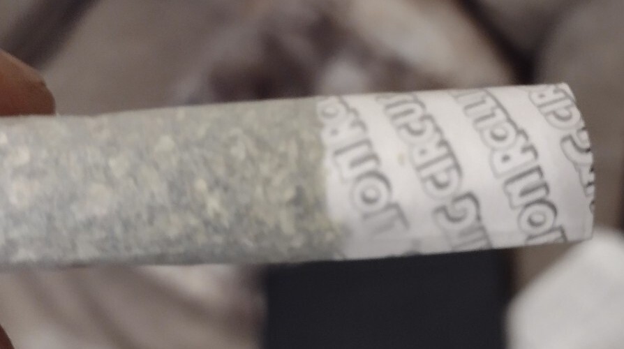 Lion Rolling Circus Perforated Filter Tips 4/50ct Packs=200pc